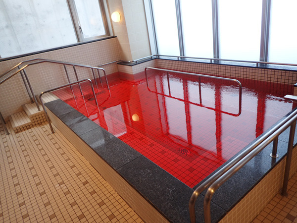 20250227-2.JPG